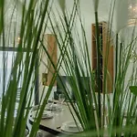 Alma Do Mar Luxury - Ocean Front